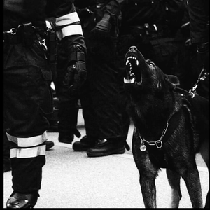 free孕妇╳乄乂乄性
