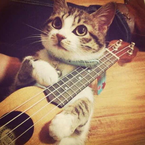 free孕妇╳乄乂乄性
